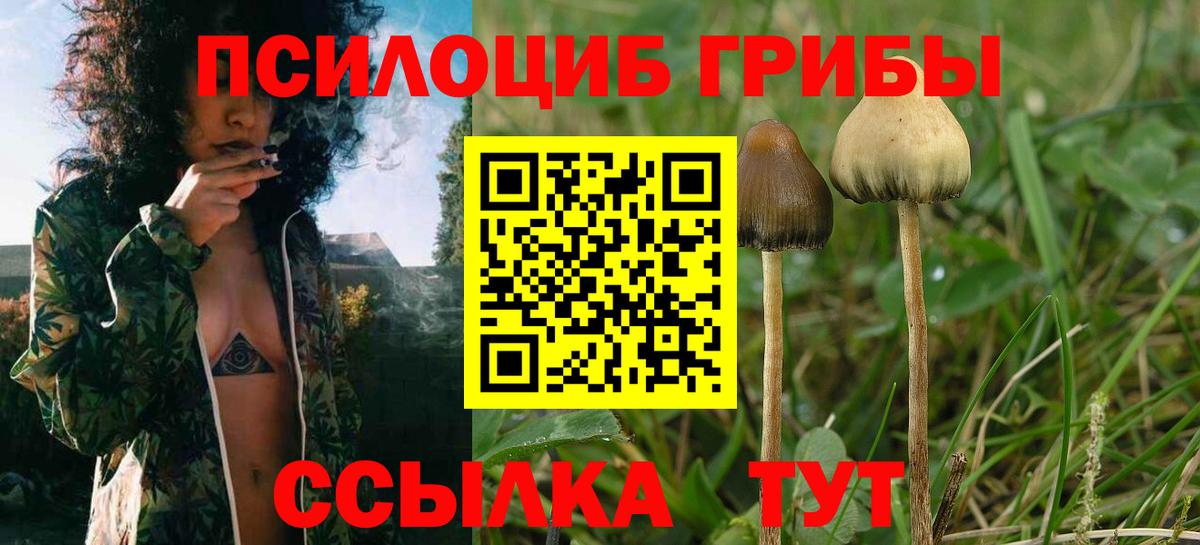 Галлюциногенные грибы ЛСД  Псилоцибиновые грибы Psilocybe  Альметьевск  Вход с VPN 